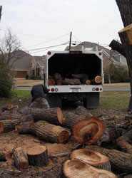 Dallas Tree Removal - After